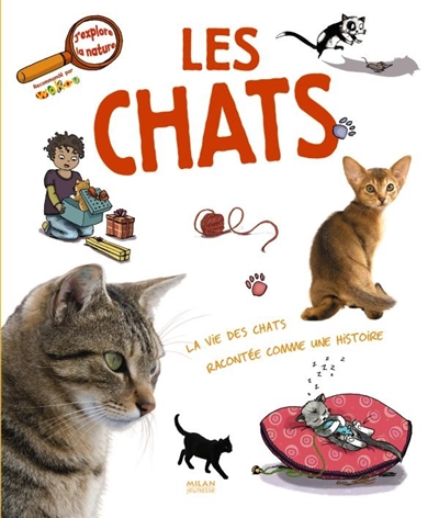 Les chats texte de Stéphanie Ledu illustrations de Sophie Lebot