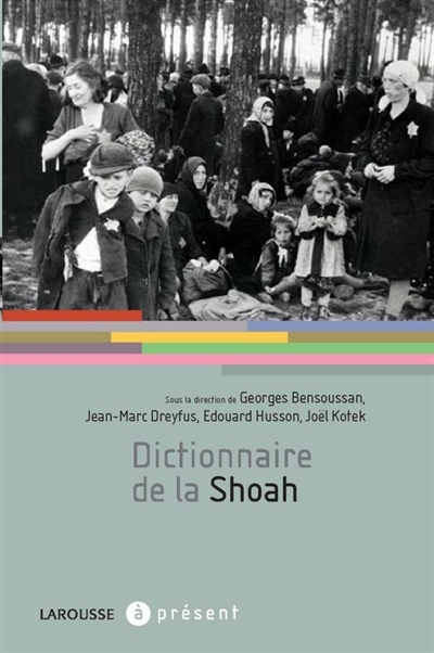 Dictionnaire de la Shoah sous la direction de Georges Bensoussan, Jean-Marc Dreyfus, Édouard Husson... [et al.]