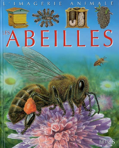 Les abeilles conception, Émilie Beaumont [et] textes, Sabine Boccador illustrations, Marie-Christine Lemayeur, Bernard Alunni