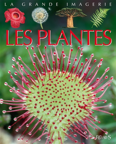 Les plantes conception, Jack Beaumont texte, Sabine Boccador illustrations, Marie-Christine Lemayeur, Bernard Alunni