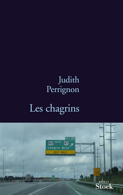 Les chagrins roman Judith Perrignon