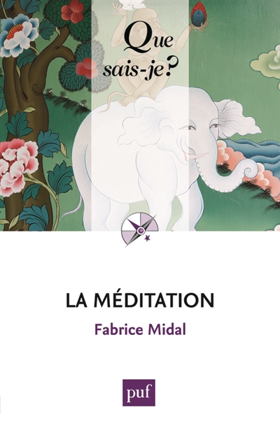 La méditation Fabrice Midal