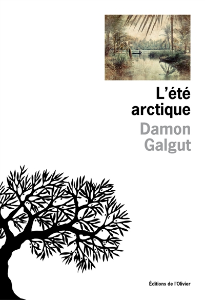 L'été arctique Damon Galgut traduit de l'anglais (Afrique du Sud) par Hélène Papot