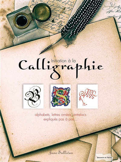 Calligraphie initiation à 9 styles d'écriture, alphabets, lettres ornées, entrelacs... Jane Sullivan