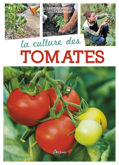 La culture des tomates Jean-Marie Polese