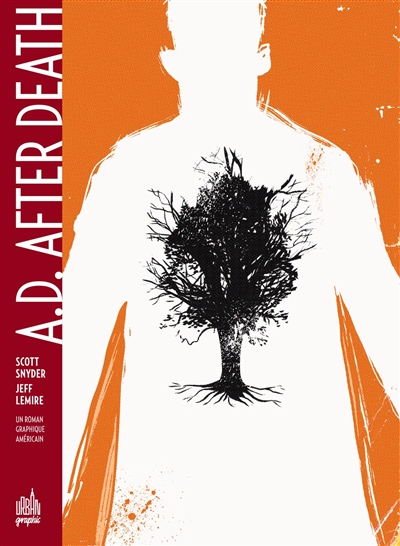 A.D. after death un roman graphique américain scénario Scott Snyder dessin Jeff Lemire traduit de l'anglais (Etats-Unis) par Benjamin Rivière