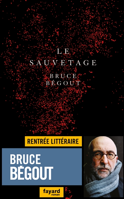 Le sauvetage roman Bruce Bégout