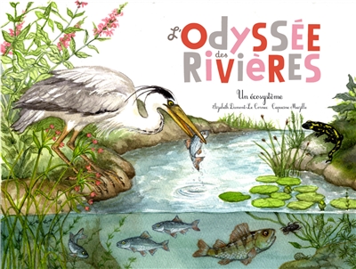L'odyssée des rivières un écosystème Elisabeth Dumont-Le Cornec illustrations Capucine Mazille