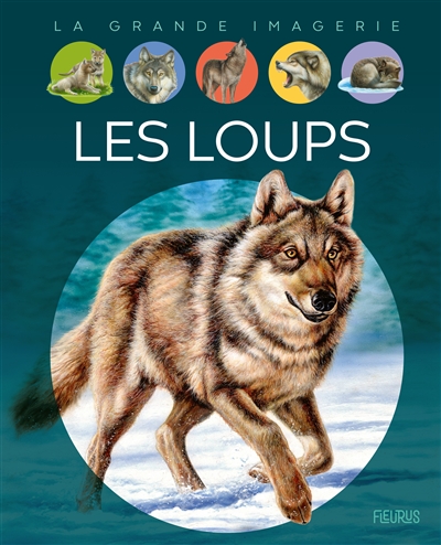 Les loups textes Agnès Vandewiele illustrations Marie-Christine Lemayeur et Bernard Alunni