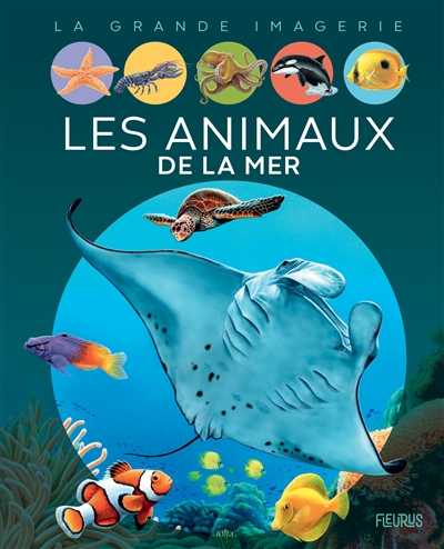 Les animaux de la mer textes Emilie Beaumont illustrations Marie-Christine Lemayeur et Bernard Alunni