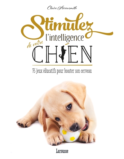 Stimulez l'intelligence de votre chien 75 jeux éducatifs pour booster son cerveau Claire Arrowsmith
