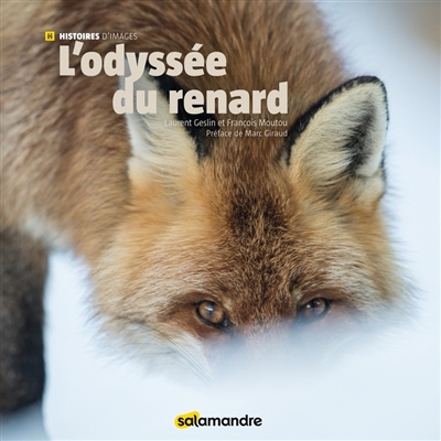 L'odyssée du renard photographies Laurent Geslin texte François Moutou préface de Marc Giraud