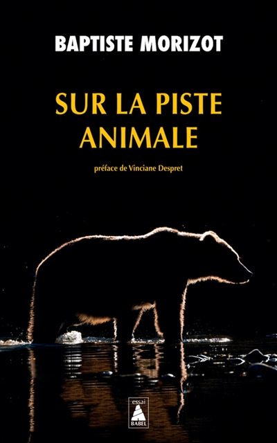 Sur la piste animale Baptiste Morizot préface de Vinciane Despret
