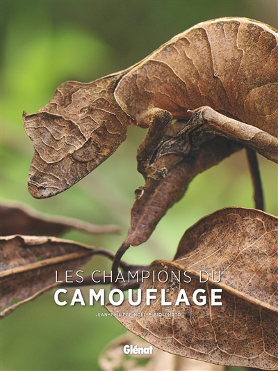Les champions du camouflage Jean-Philippe Noël photographies Biosphoto