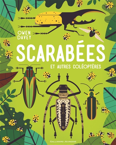 Scarabées et autres coléoptères Owen Davey traduit de l'anglais par Bérengère Viennot