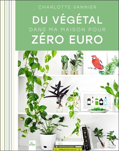 Du végétal dans ma maison pour zéro euro Charlotte Vannier