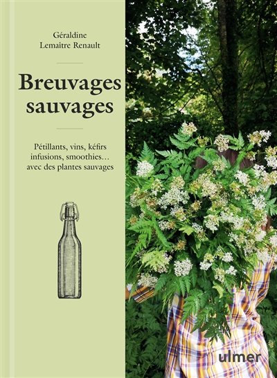 Breuvages sauvages pétillants, vins, kéfirs, infusions, smoothies... avec des plantes sauvages Géraldine Lemaître-Renault